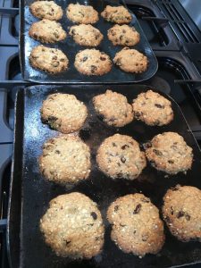 Buzymum - Cooked oat and raisin biscuits