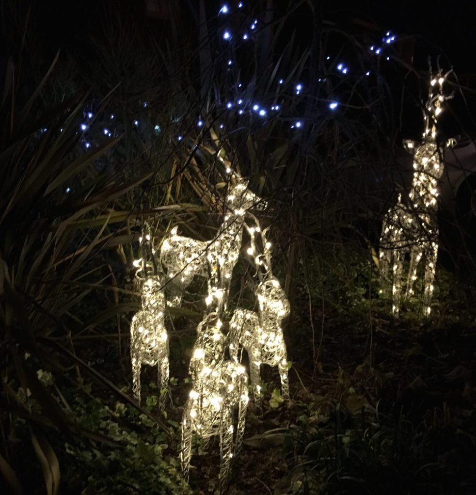 Buzymum - The final Christmas garden lights!