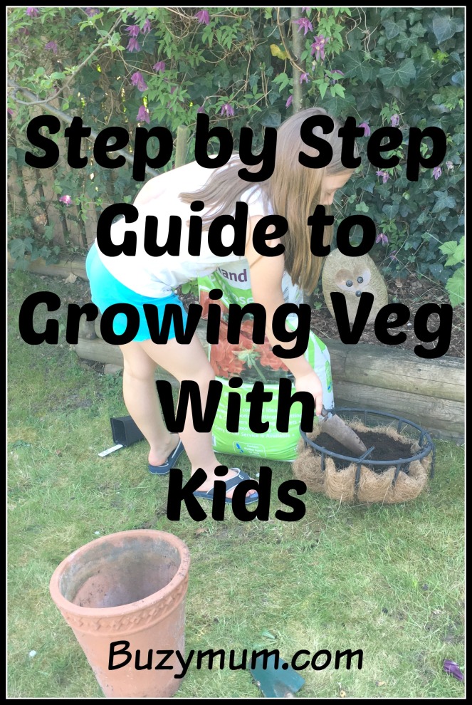 Buzymum - Step by Step Guide to Growing Veg With Kids