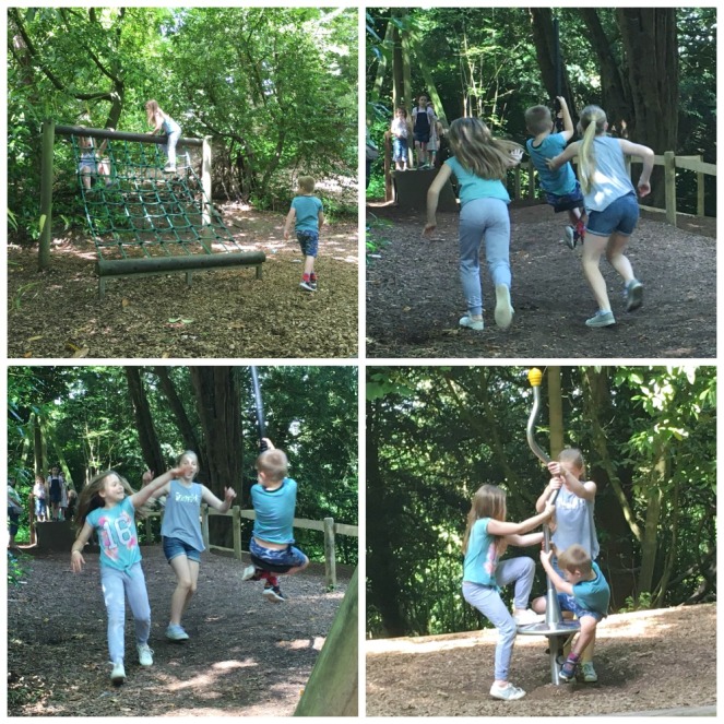 Buzymum - The woodland playground is for all ages!