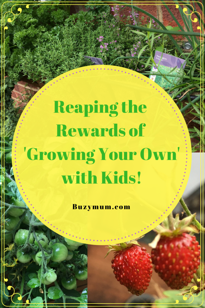Buzymum - Reaping the Rewards of 'Growing Your Own' with Kids!